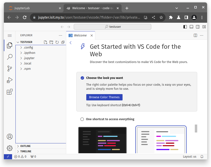 Сессия VS Code в браузере